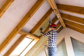 Trusted Cheraw, SC Insulation Removal & Installation Experts